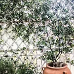 Athina K Apartamento Nea Kallikrateia