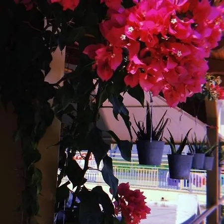 Apartment Athina K