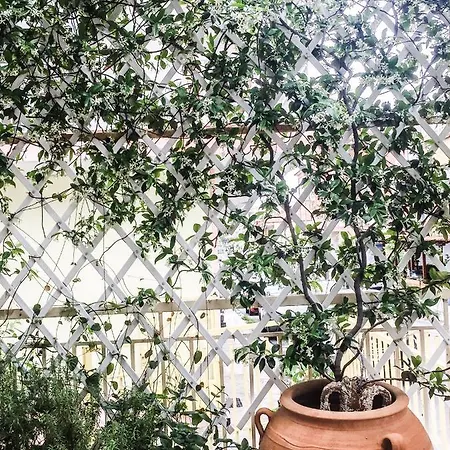 Athina K Apartamento Nea Kallikrateia